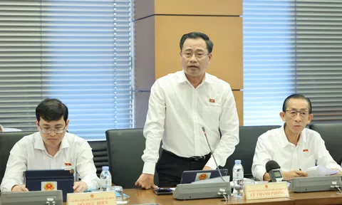 1 vụ án phá sản có khi kéo dài 10 năm
